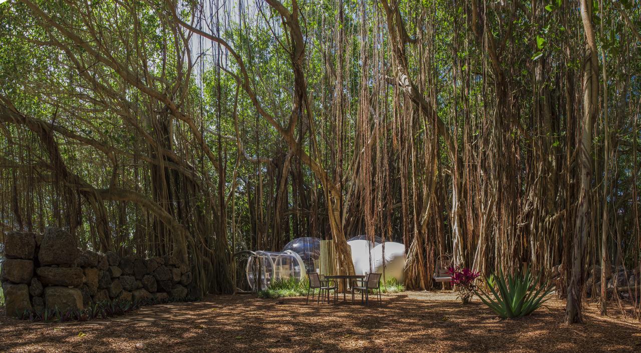 Bubble Lodge Ile Aux Cerfs Island Eksteriør billede